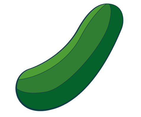 Retter Zucchini eingelegt